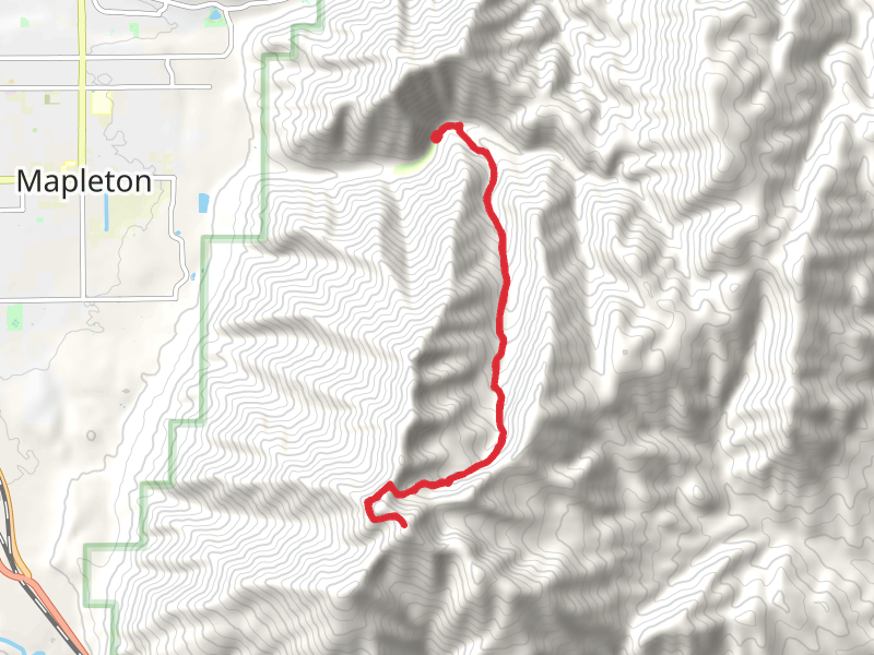 Spanish Fork Peak via Right Fork Maple Canyon Trail