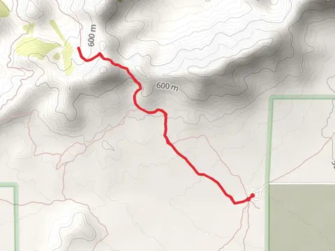 Goldmine Trail Out and Back