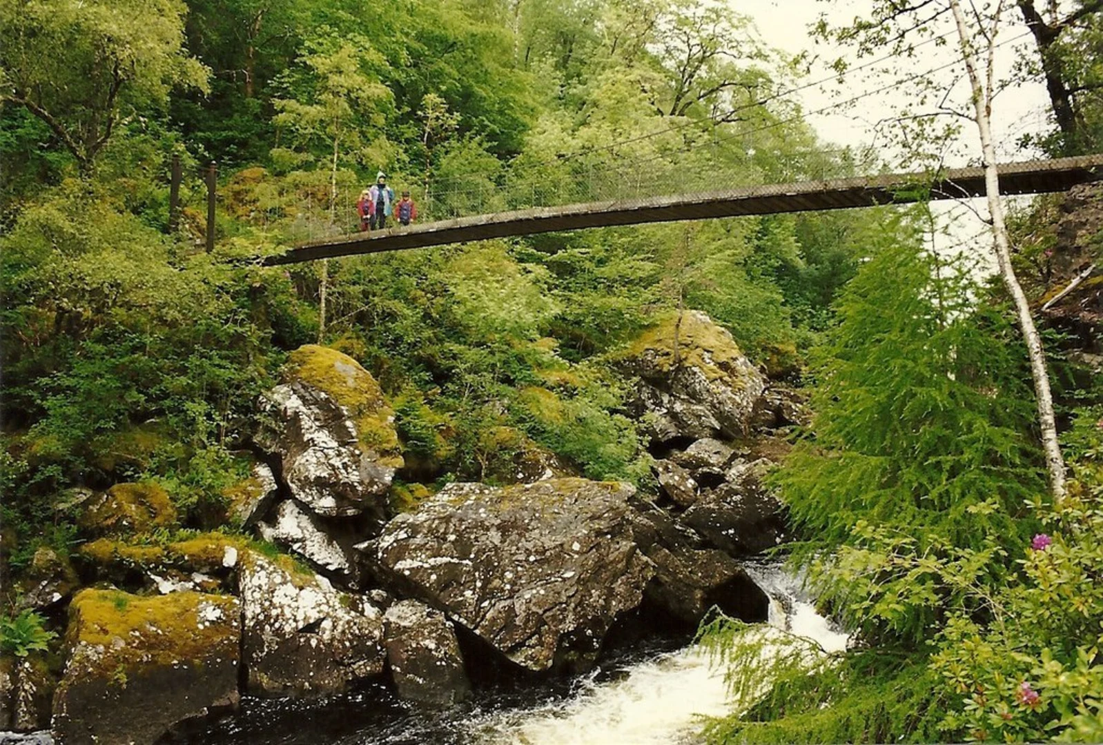 An image depicting the trail Allt na Cailliche River Loop Trail and its surrounding area.