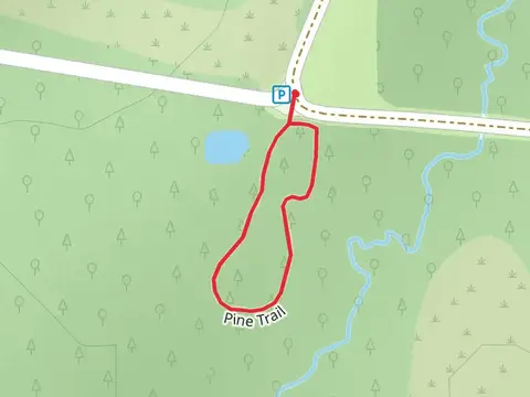 Pine Loop Trail