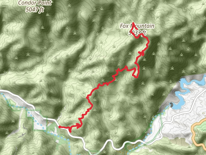 Fox Mountain via Condor Peak Trail