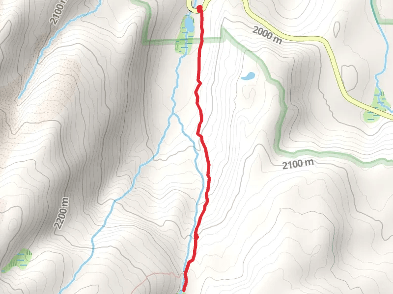 Paradise Meadows Trail from Lassen Peak Highway