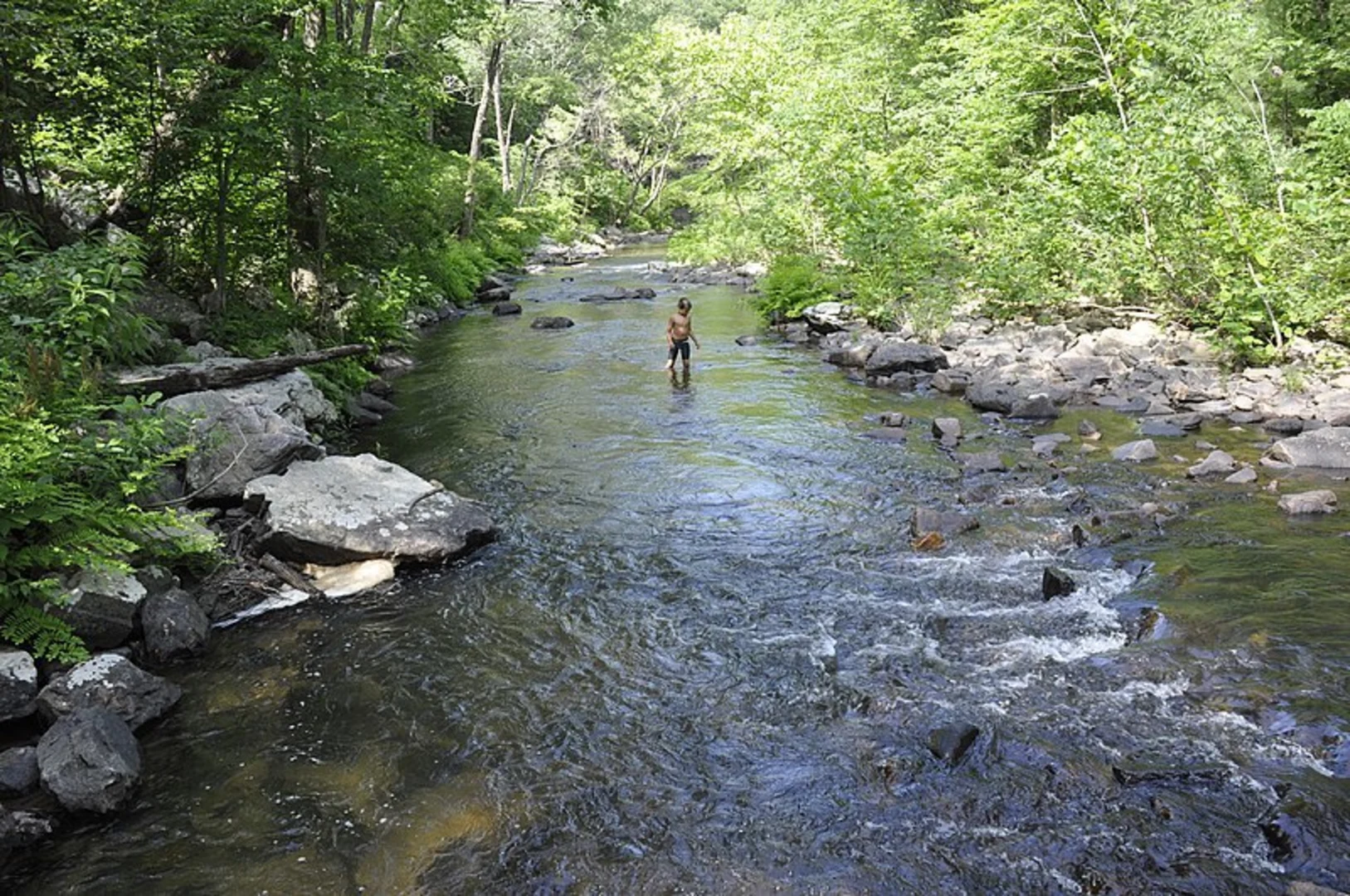 An image depicting the trail Mudhole Gap Loop Trail and its surrounding area.