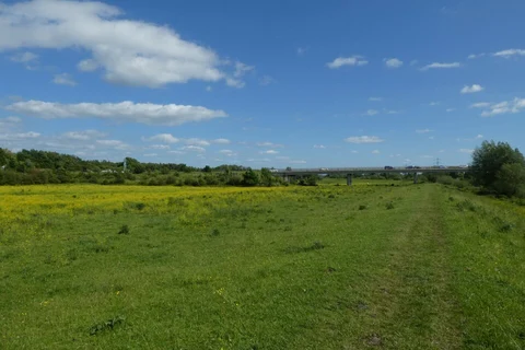 Clifton Ings and Rawcliffe Ings Loop