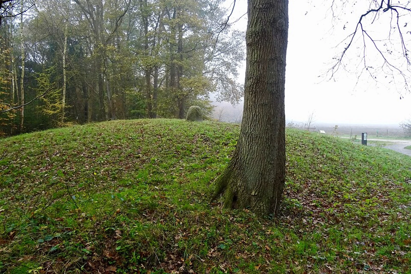 An image depicting the trail Buitenzorg and Sans Souci Loop and its surrounding area.