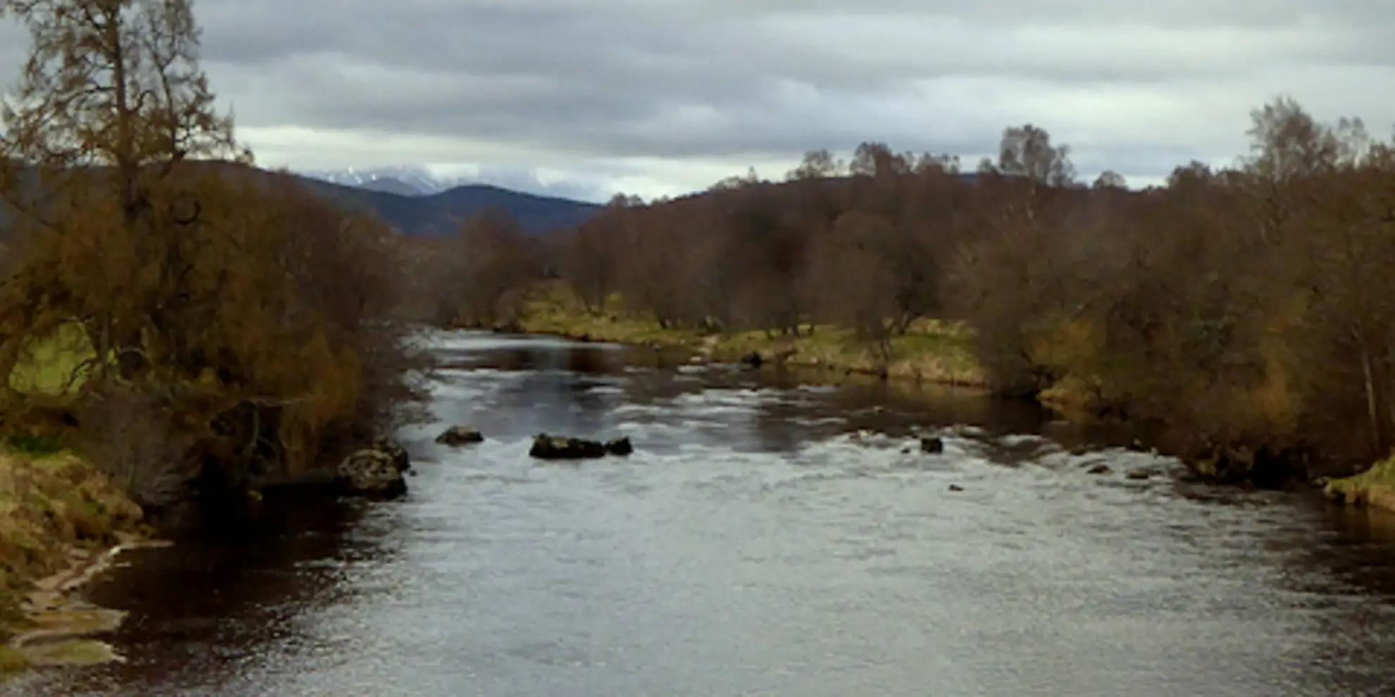 An image depicting the trail Boat of Garten Loop via River Spey and its surrounding area.