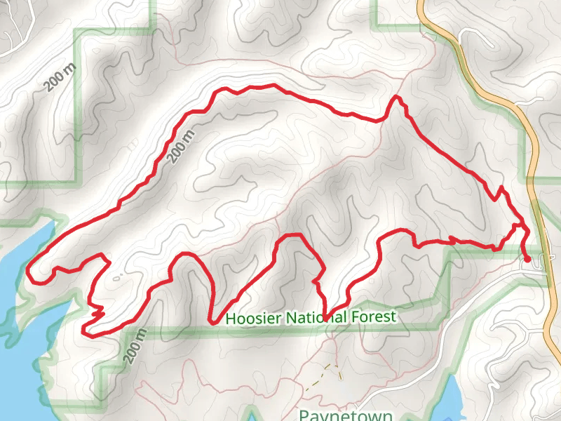 Pate Hollow Loop Trail