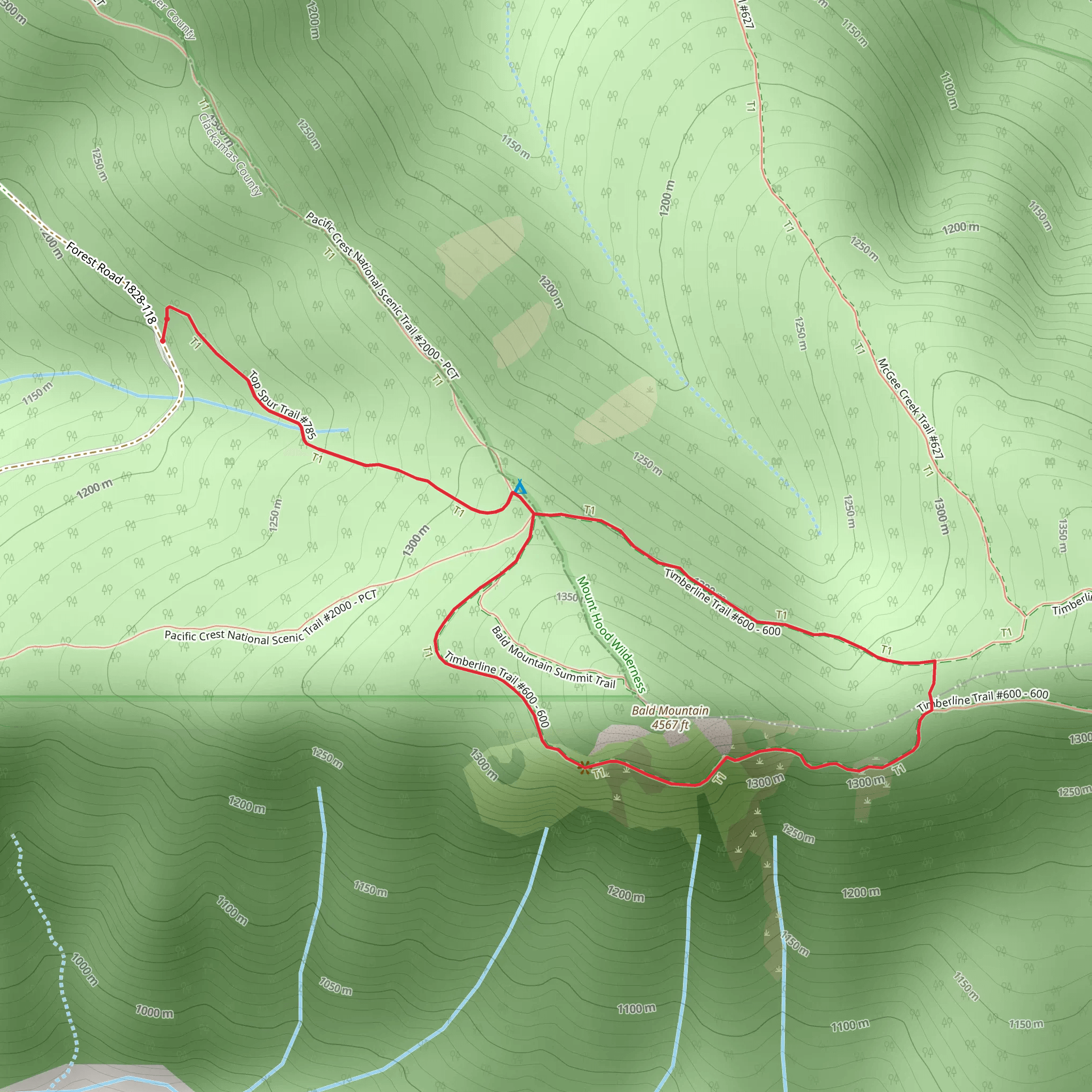 Top Spur and Timberline Loop Trail mobile static map