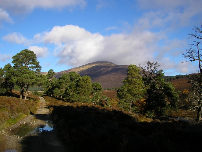Beinn a' Bhuird Loop via Dubh Lochan