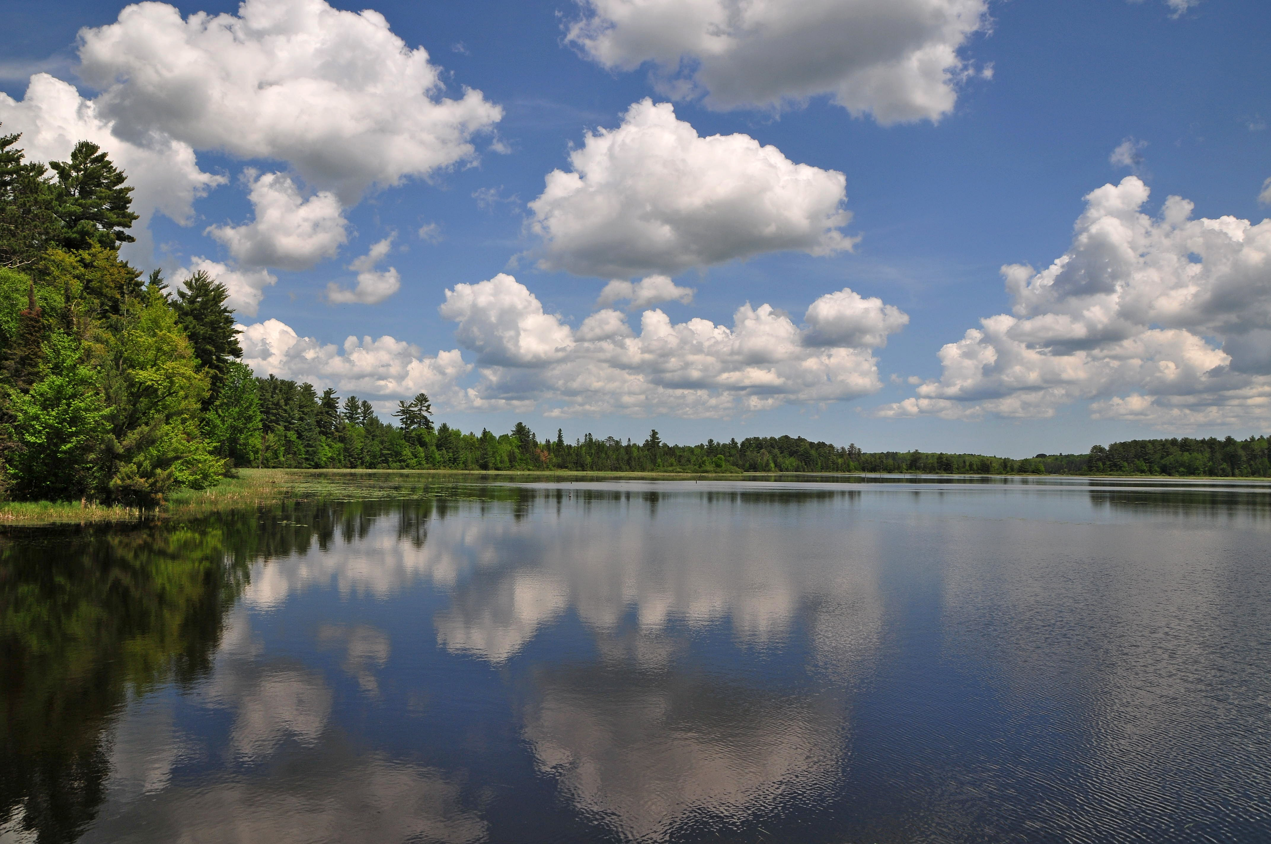 An image depicting the trail Chequamegon-Nicolet National Forest and its surrounding area.