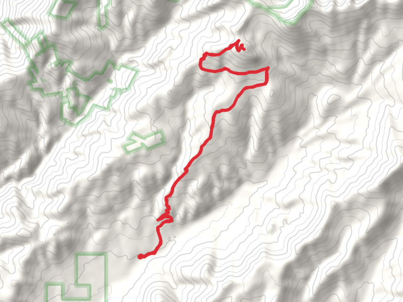 Smith Mountain via Little Bear Creek Trail