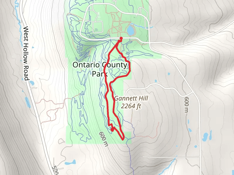 Gannett Hill - Ontario County Park Loop