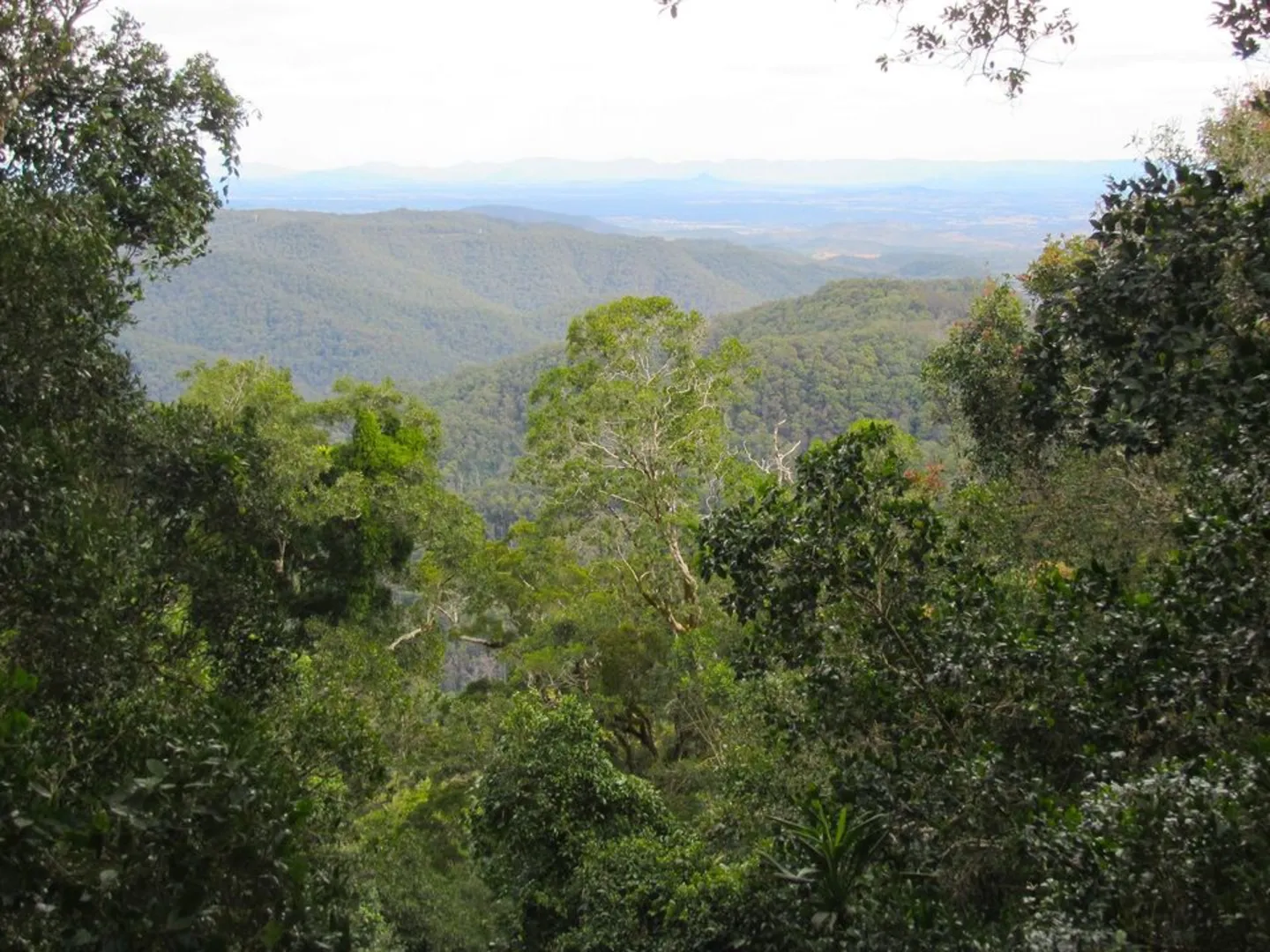 An image depicting the trail Westside Window Track and its surrounding area.