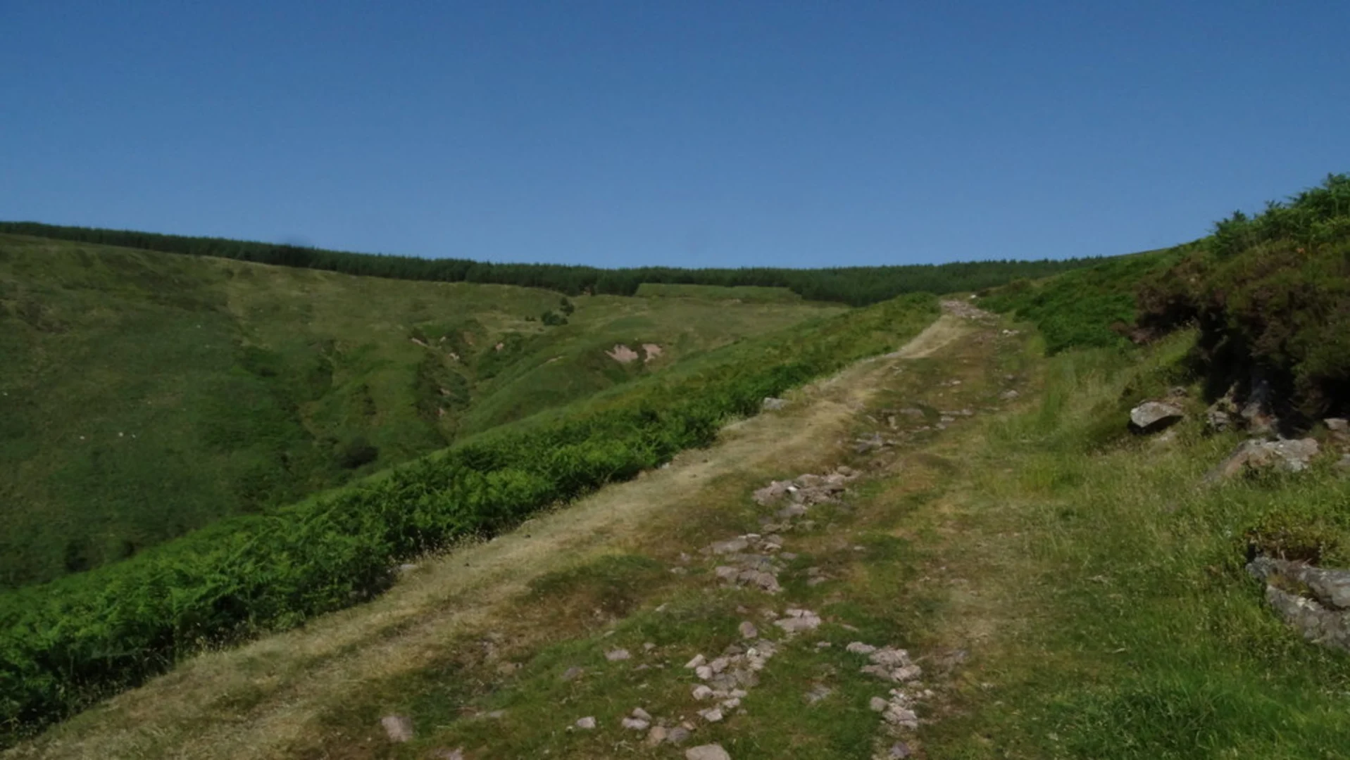 An image depicting the trail Knocknalougha South Top and its surrounding area.