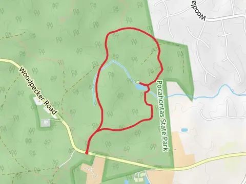 Lush Forest and Roper Forest Loop Trail