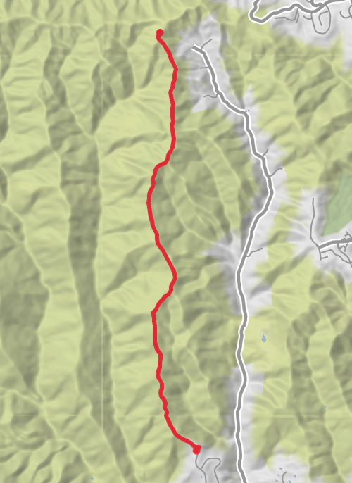 Los Angeles Walking mobile static map