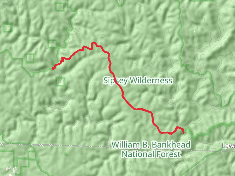 Bunyan Hill Wild Trail