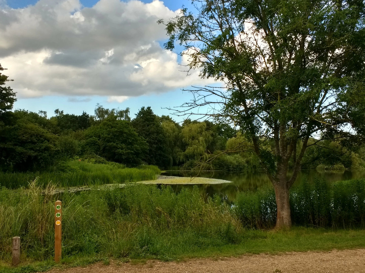 An image depicting the trail Tuckswood to Bowthorpe Walk and its surrounding area.
