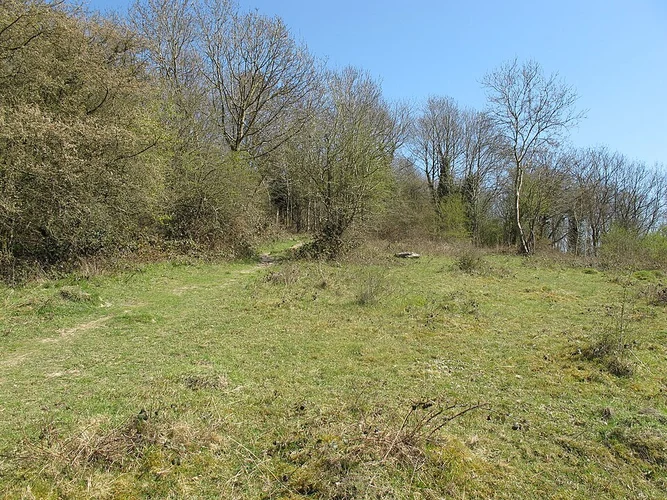 Bledlow Ridge and West Wycombe Loop