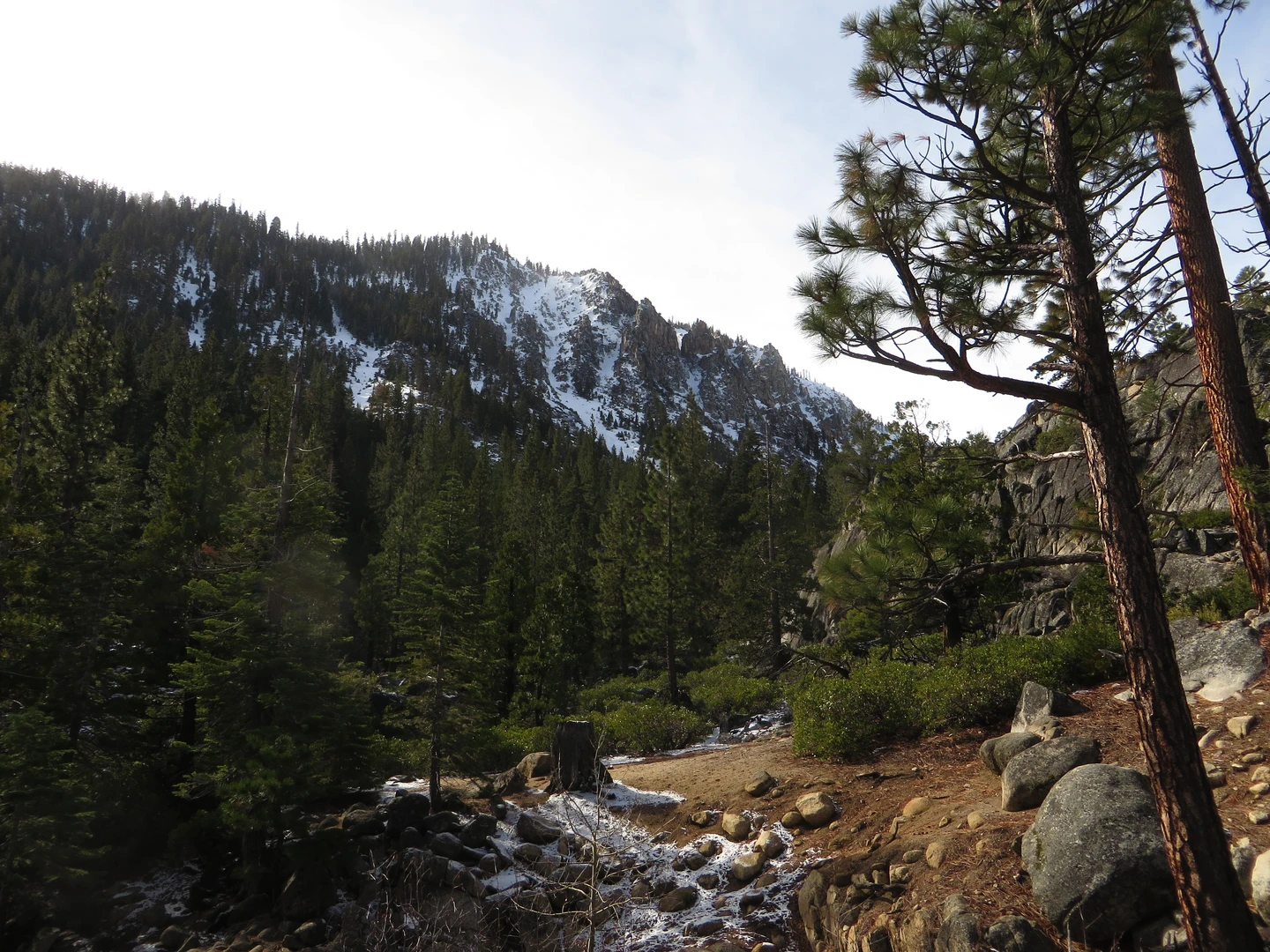 An image depicting the trail Buck Creek Walk and its surrounding area.