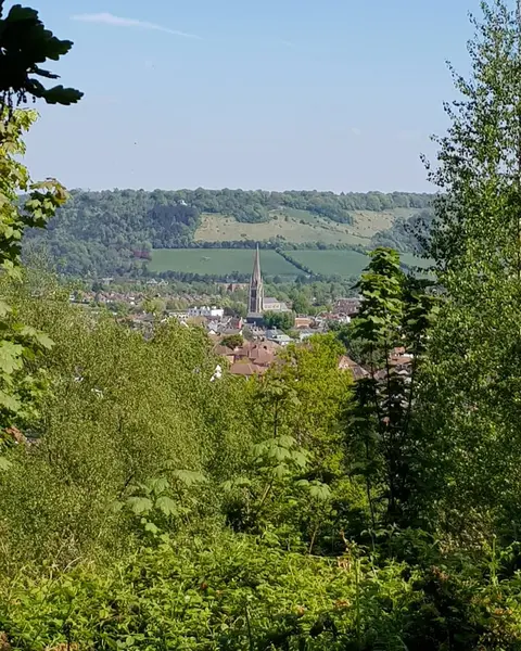 Dorking Skyline Walk