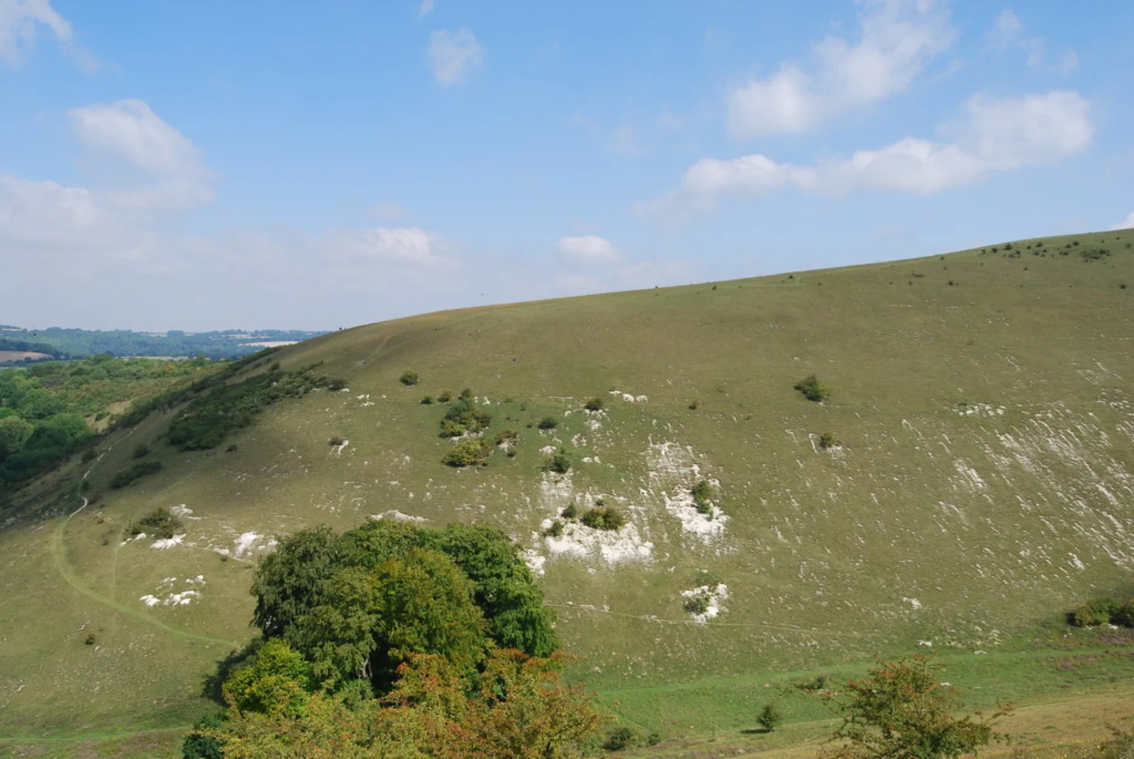 An image depicting the trail Butser Hill and its surrounding area.