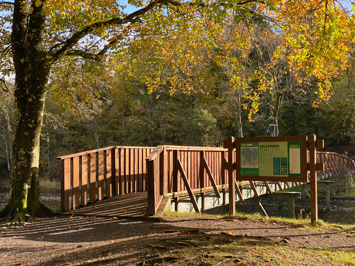 An image depicting the trail Killykeen Forest Park - Nature Trail and its surrounding area.