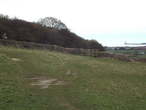 Cleadon Hills Loop
