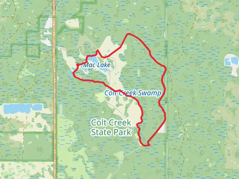 Flatwoods -Orange Loop Trail