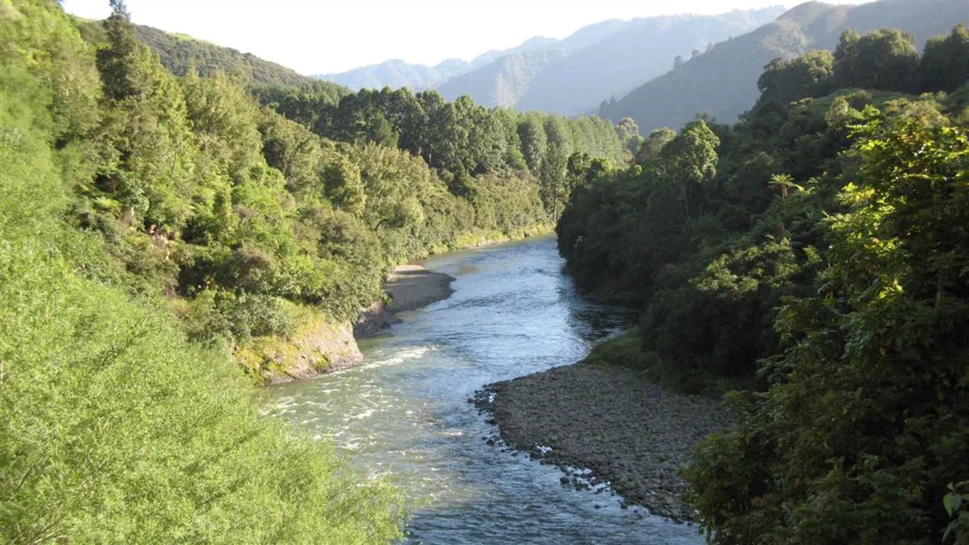 An image depicting the trail Little Manganuku Track and its surrounding area.