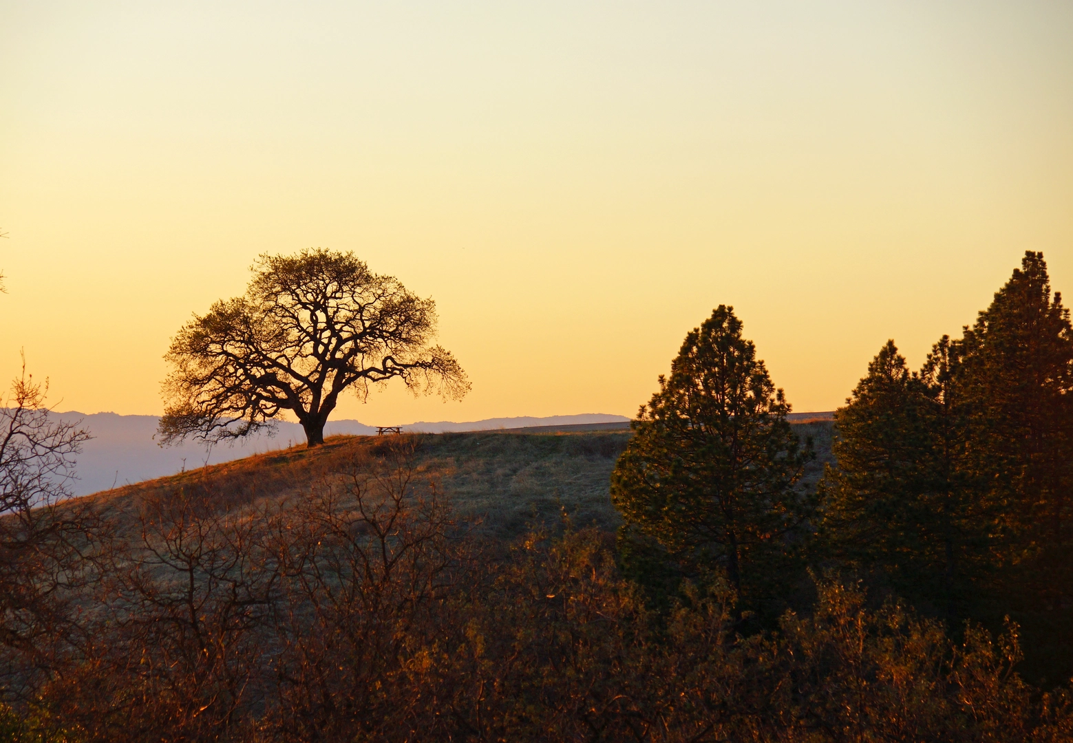 An image depicting the trail Los Cruzeros Camp via Corral Trail and Chine Hole Trail and its surrounding area.