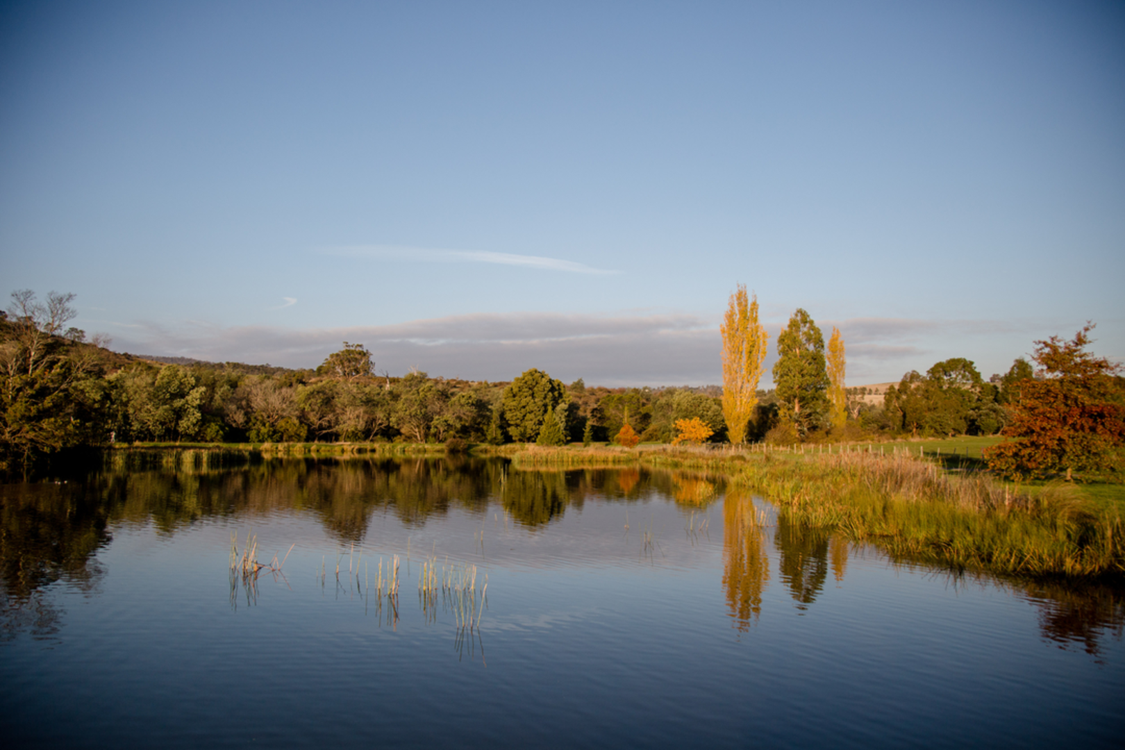 An image depicting the trail Waverley Lake Trail and its surrounding area.