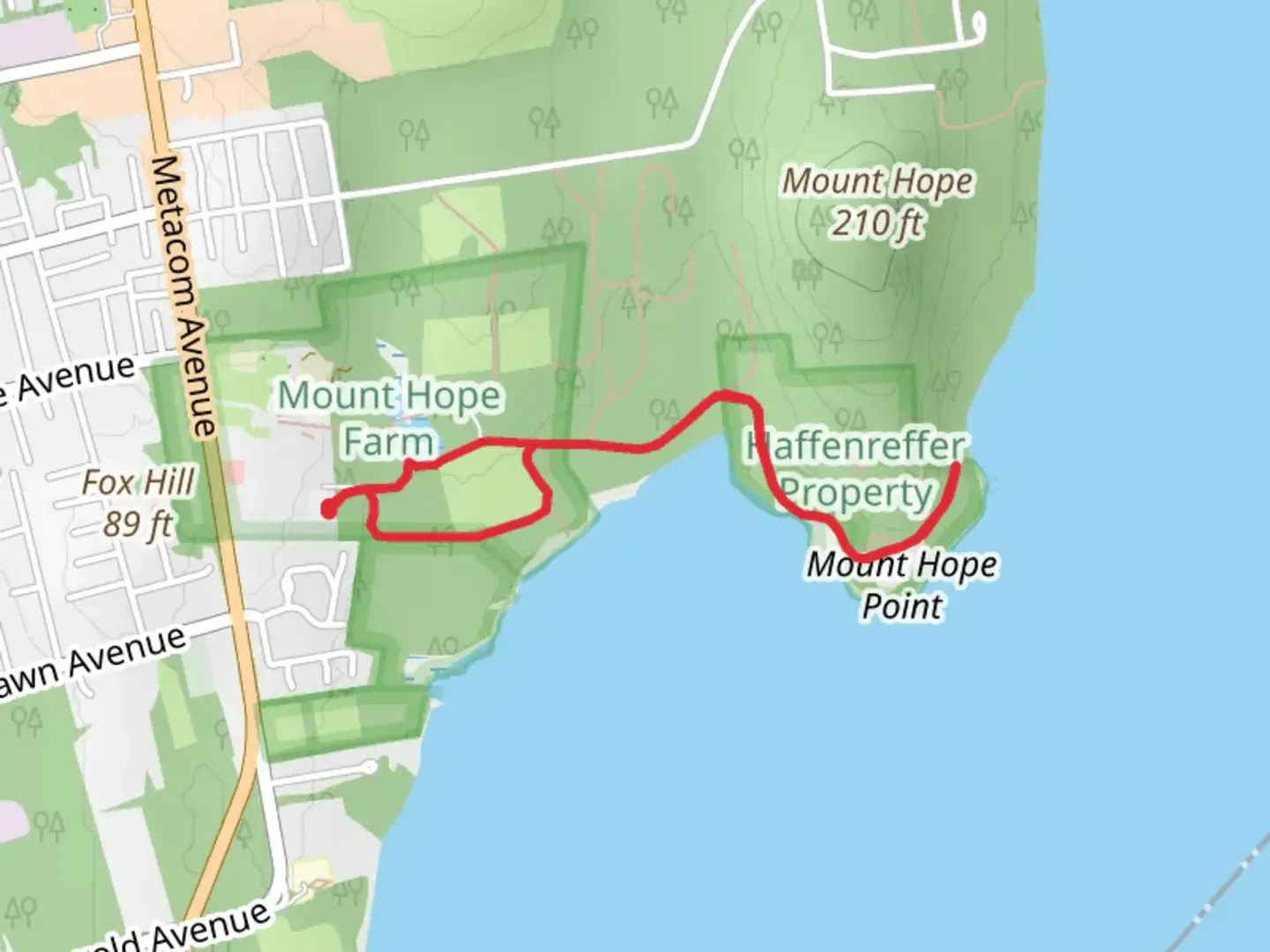 An image depicting the trail Walk along Church Cove and its surrounding area.