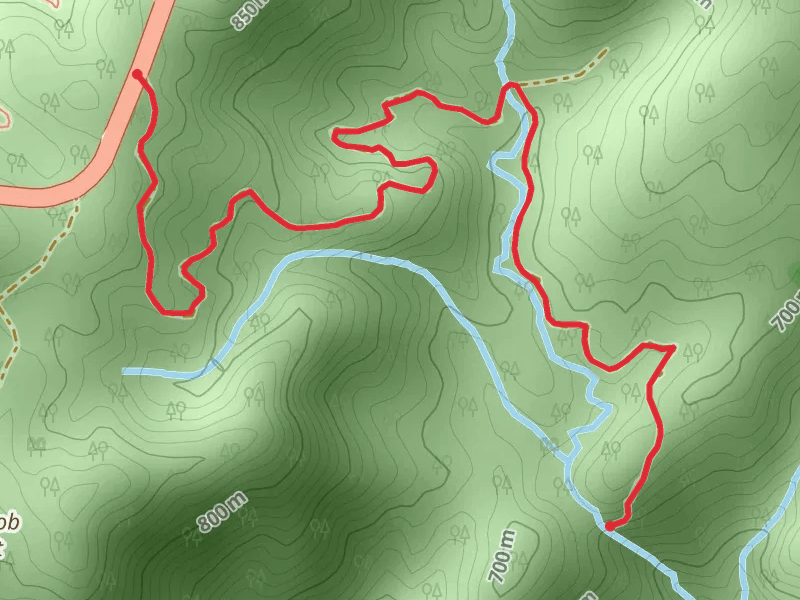Walk along Bee Creek