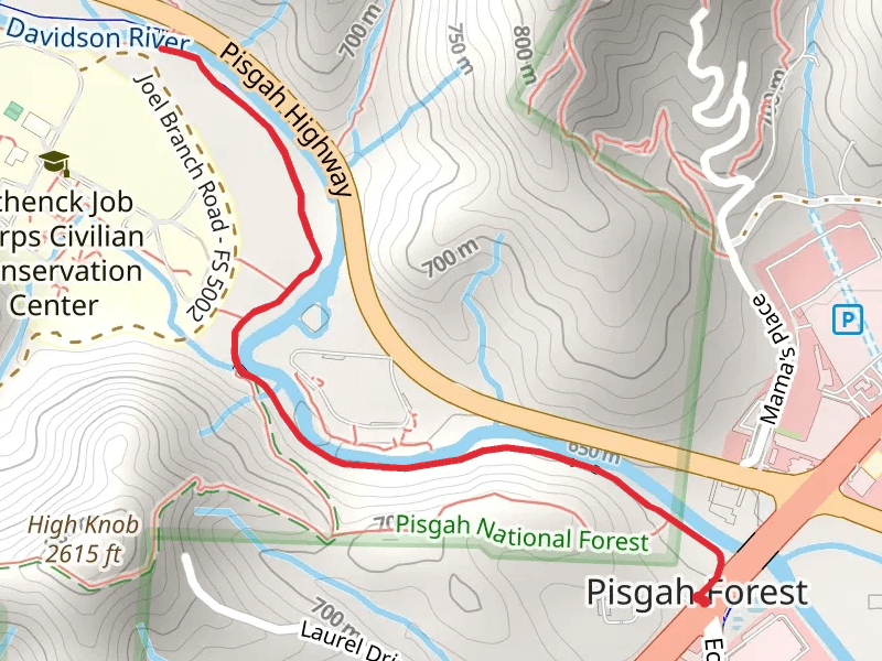 Estatoe Trail