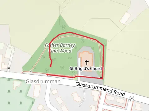 Glassdrummond Wood