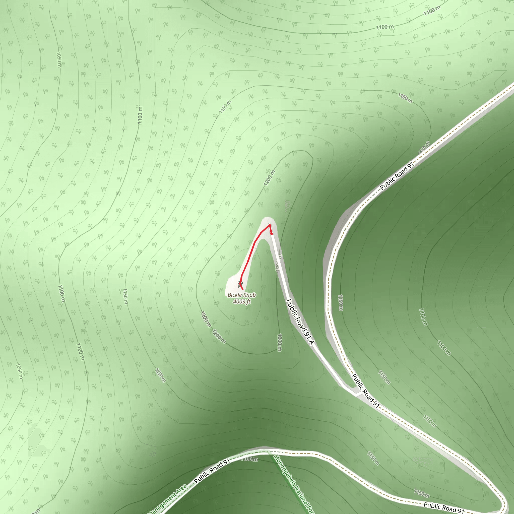 Bickle Knob Out and Back mobile static map