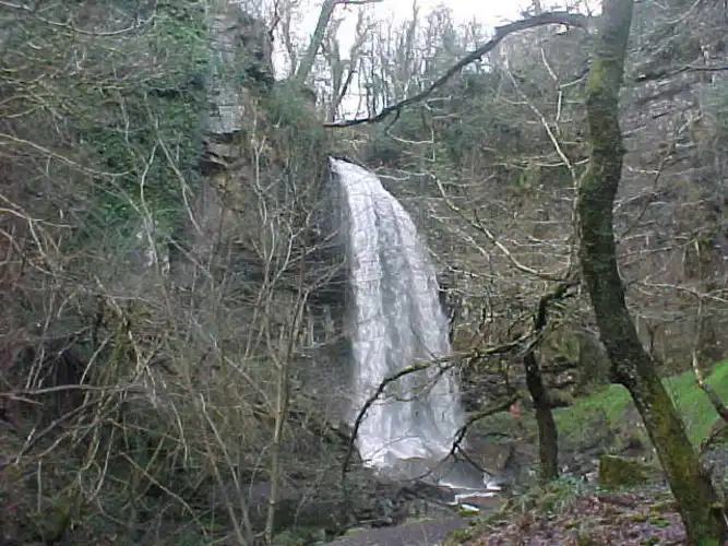 Melincourt Falls Walk