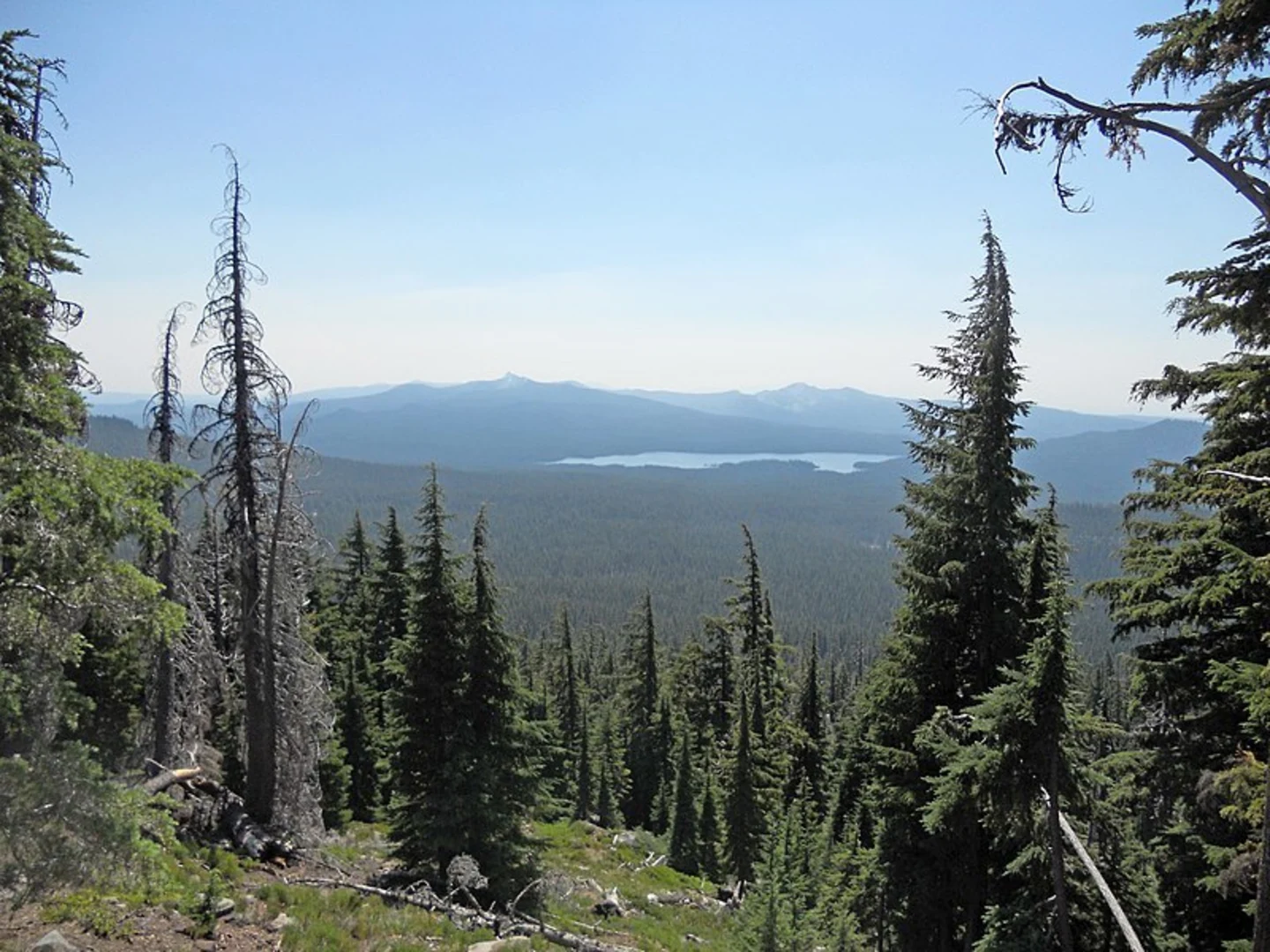 An image depicting the trail Windy Pass Trail and its surrounding area.