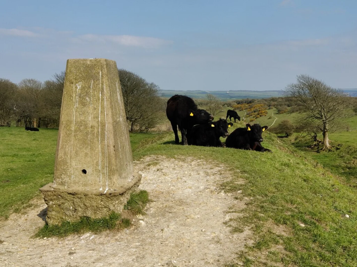 An image depicting the trail Devil's Dyke National Trust Loop and its surrounding area.