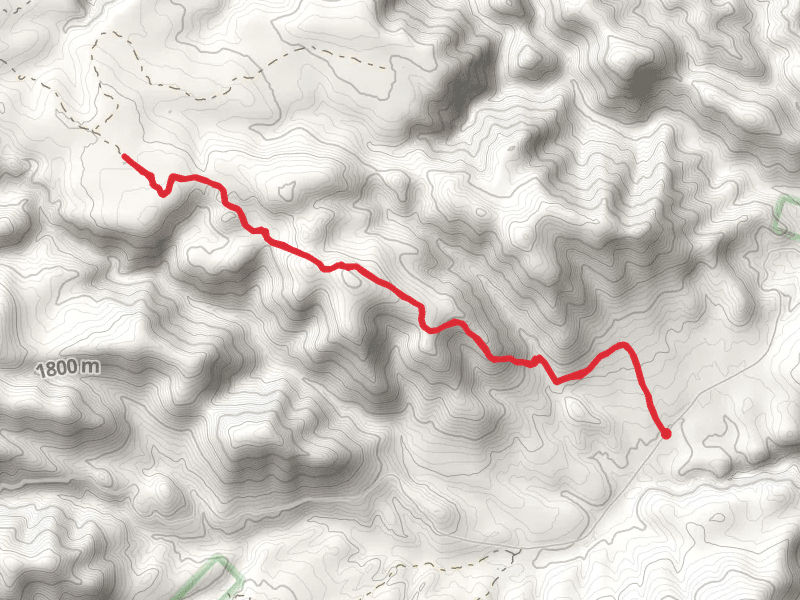 Smokey Trail