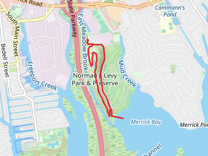 Norman J Levy Park and Preserve Loop Trail