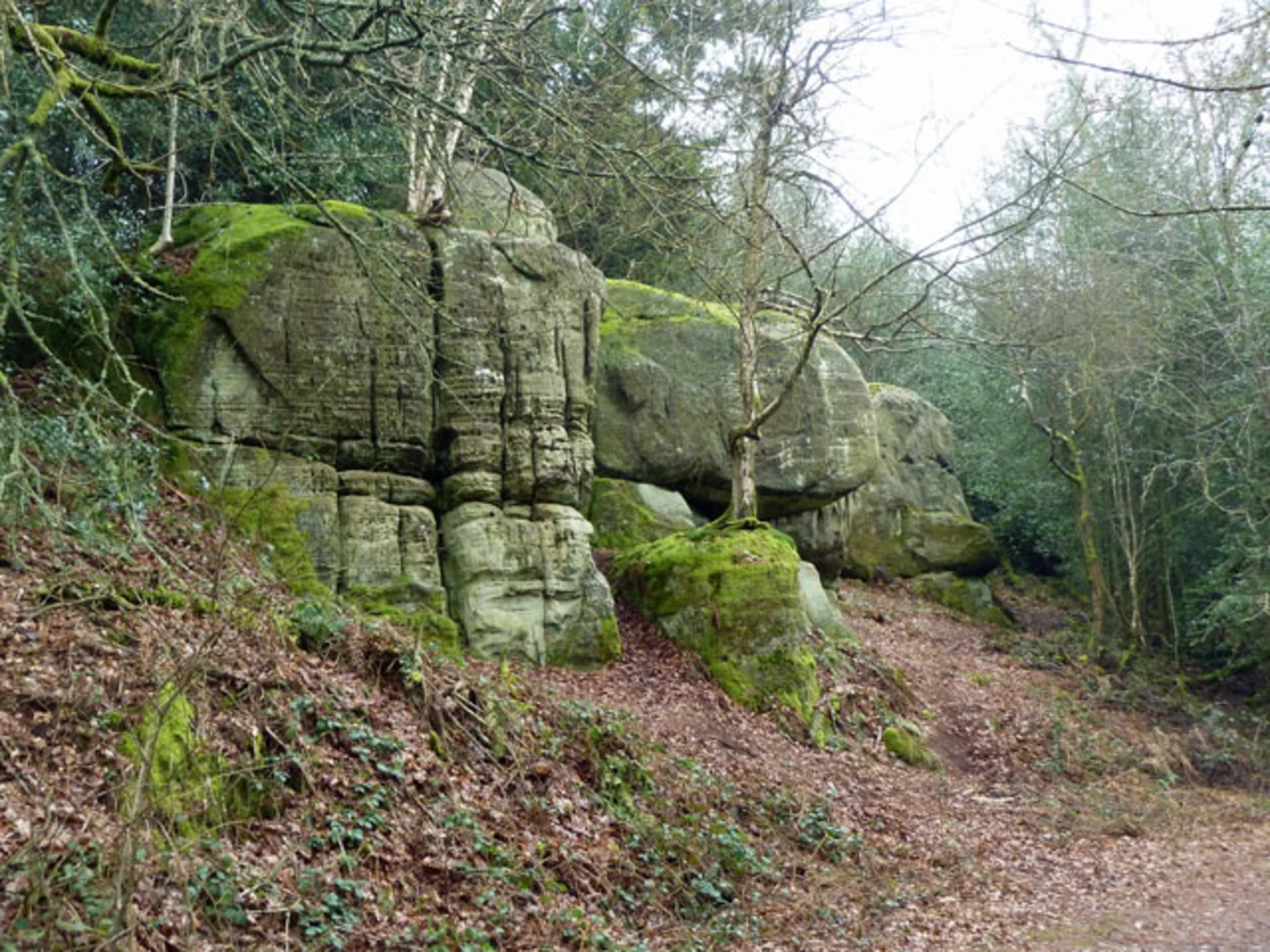 An image depicting the trail Eridge Rocks Loop and its surrounding area.