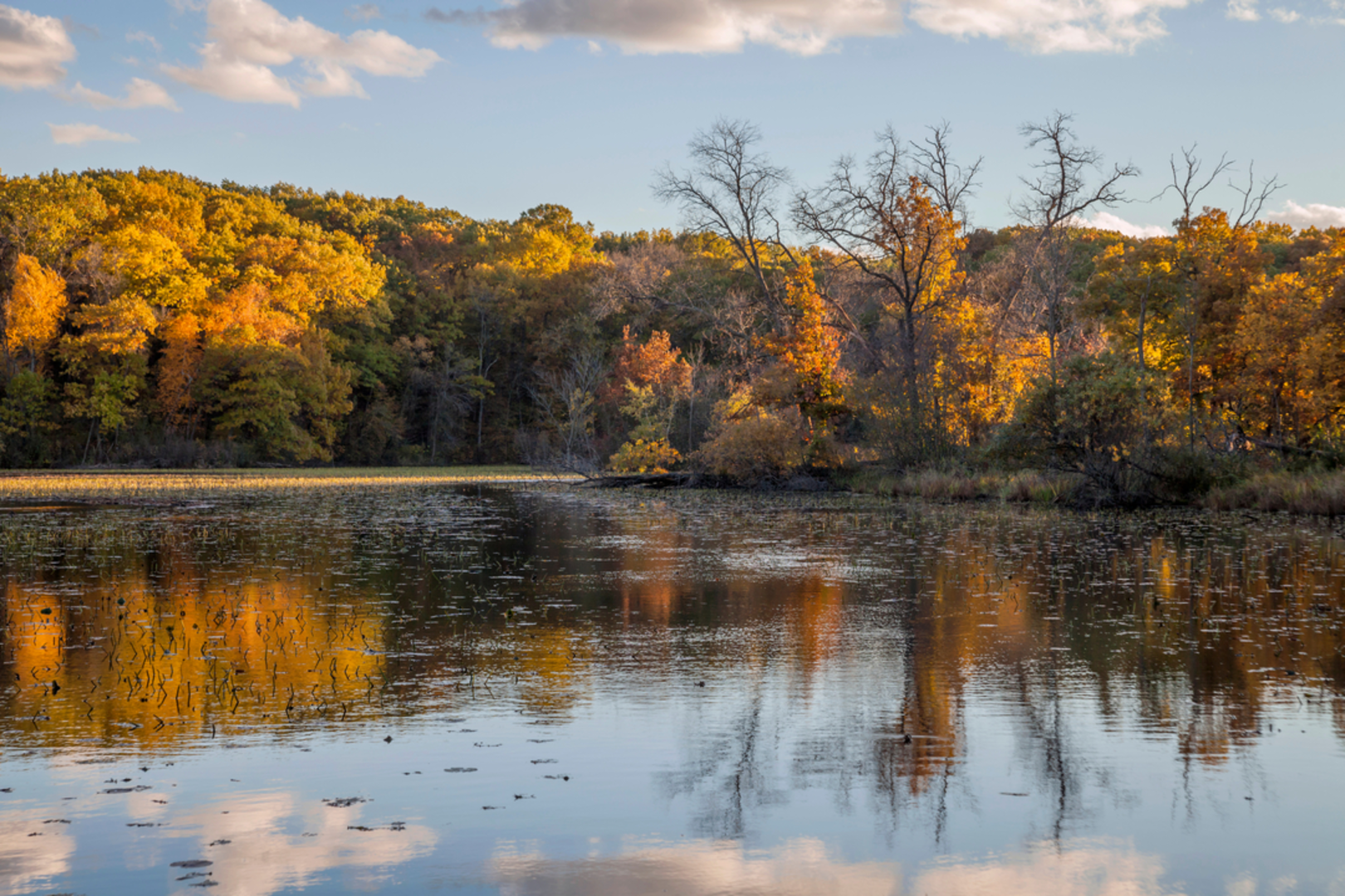 An image depicting the trail Jensen Lake Loop and its surrounding area.