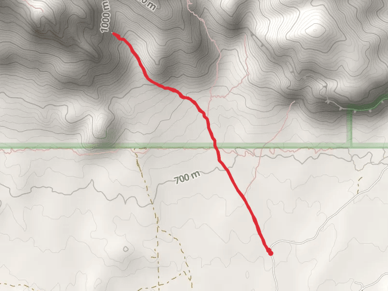 Wave Cave Trail