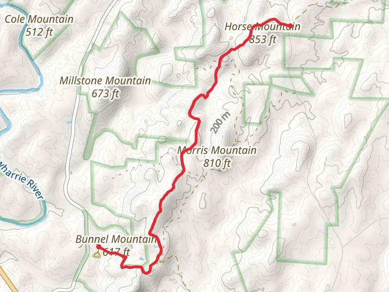 Uwharrie Trail and West Morris Mountain Trail