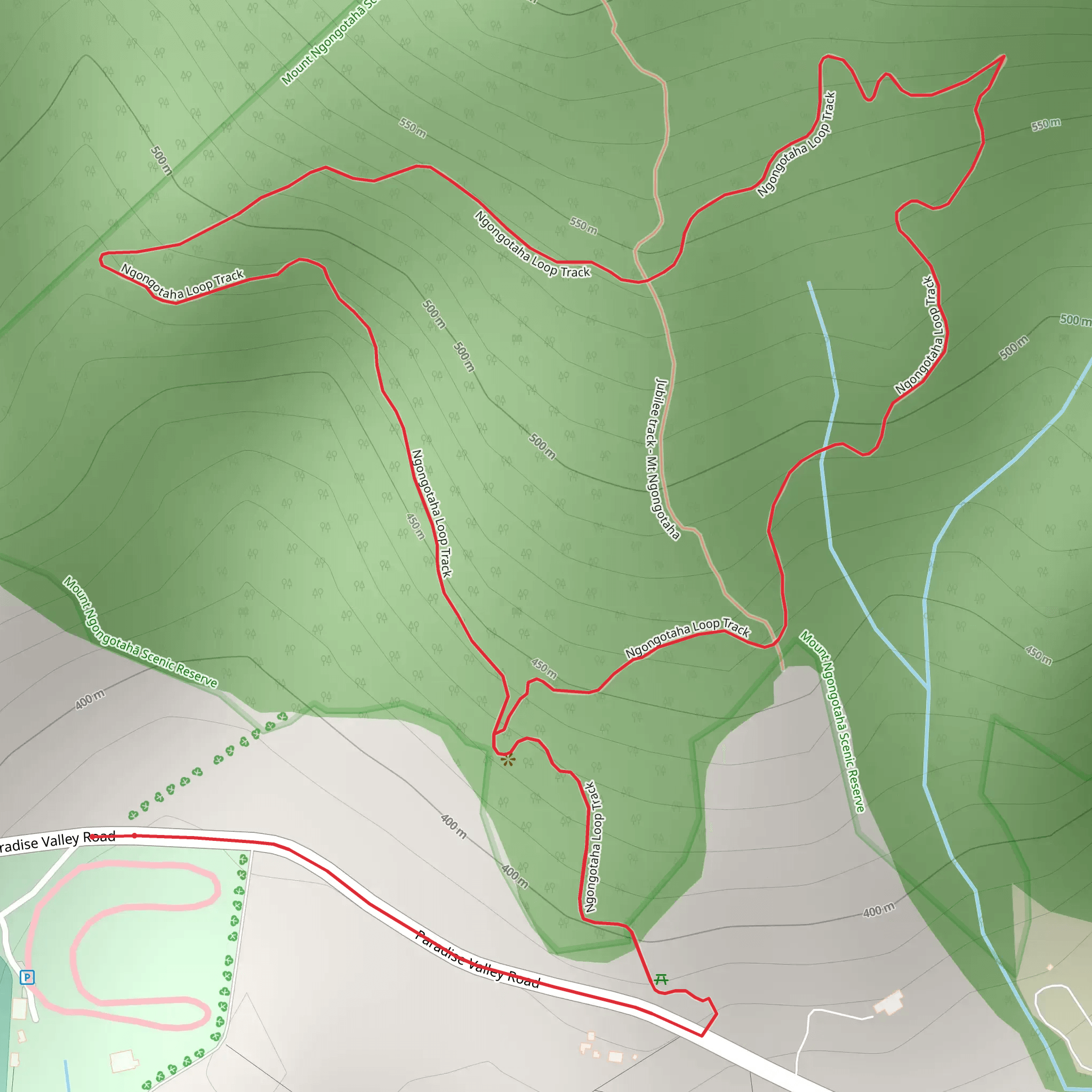 Mt Ngongotaha Nature Loop Track mobile static map