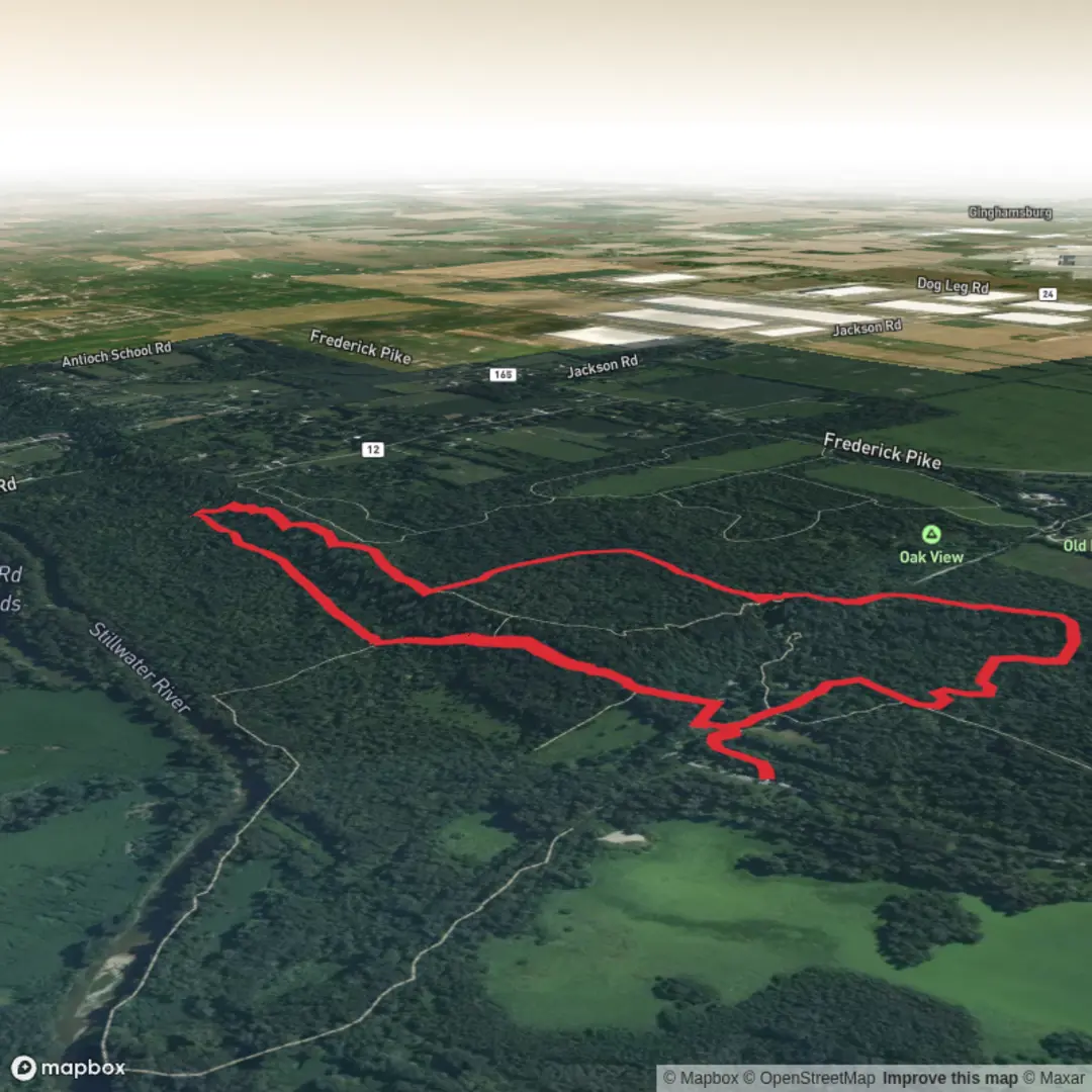 An image depicting the trail Patty Falls via White and Green Trail and its surrounding area.