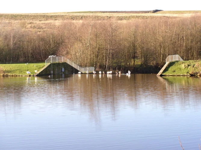 Burnley Central to Burnley Barracks Walk via River Brun