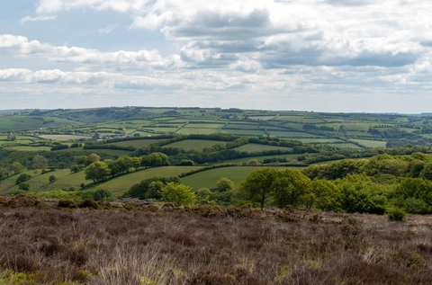 Beacon Hill, Lady's Edge, Black Ball Hill and Bicknoller Combe Loop